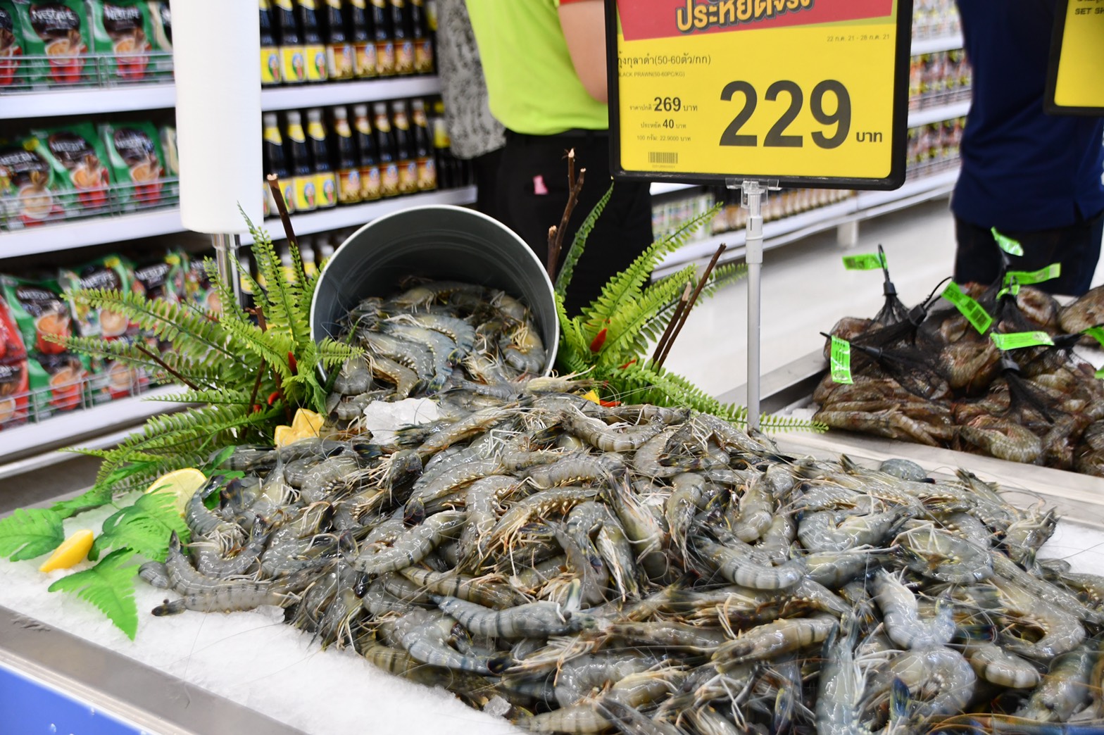 อธิบดีกรมการค้าภายใน พาณิชย์ติดตามโครงการช่วยเหลือผู้เลี้ยงกุ้ง พร้อมตรวจสอบราคาช่วงโควิด