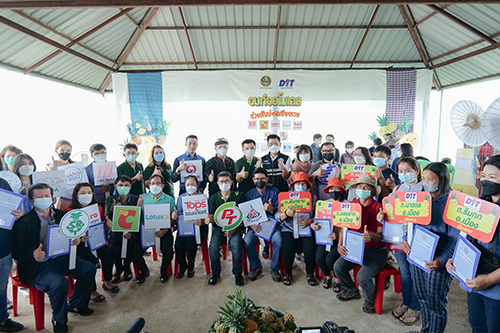 อมก๋อยโมเดลช่วยสับปะรดเชียงราย