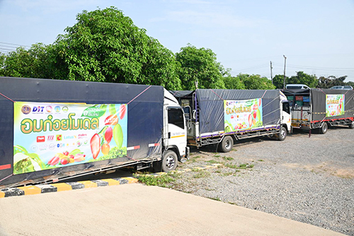 อมก๋อยโมเดลเชียงใหม่