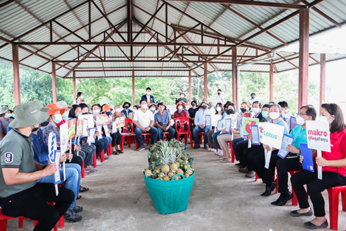 อมก๋อยโมเดลช่วยสับปะรดเชียงราย