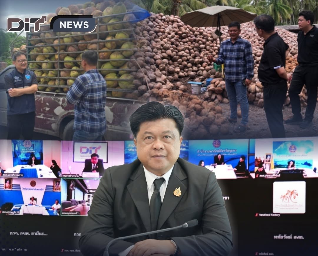 ข่าวเลขที่ 167/2569 กรมการค้าภายในจับมือโรงงานกะทิเร่งดูดซับผลผลิตมะพร้าวล้นตลาด เพิ่มรับซื้อ 2.5 ล้านลูกภายใน 2 สัปดาห์ ช่วยบรรเทาปัญหาราคาตกต่ำ (16 มิถุนายน 2569)