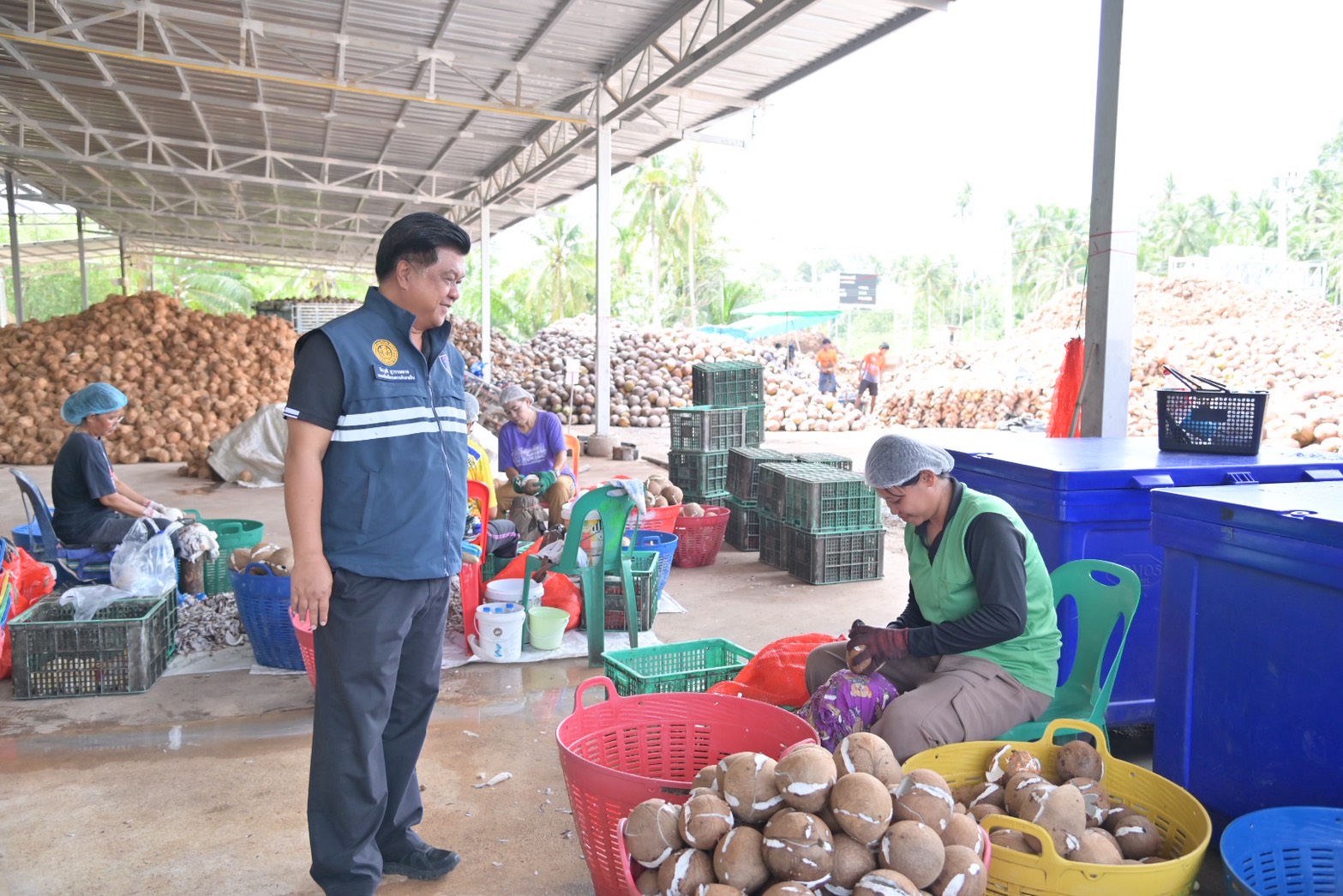 DIT ลงพื้นที่เยี่ยมชมและติดตามสถานการณ์การผลิตและการตลาดมะพร้าว