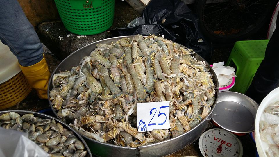 10876_สินค้าที่จำหน่าย 7.jpg