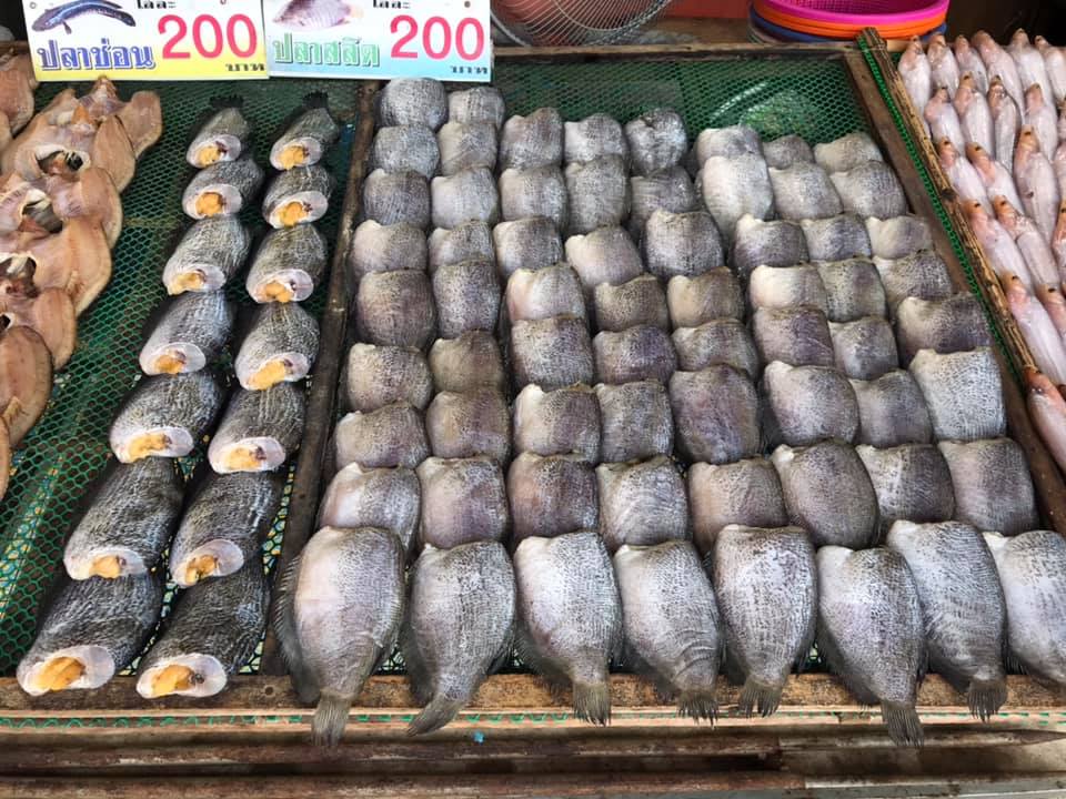 78207_แผงค้าปลาสลิดแดดเดียว.jpg