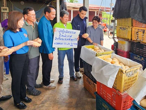 “พาณิชย์” ลงพื้นที่พิจิตร-พิษณุโลก ปิดจ๊อบช่วยมะม่วง เผยปีนี้ราคาดีต่อเนื่อง