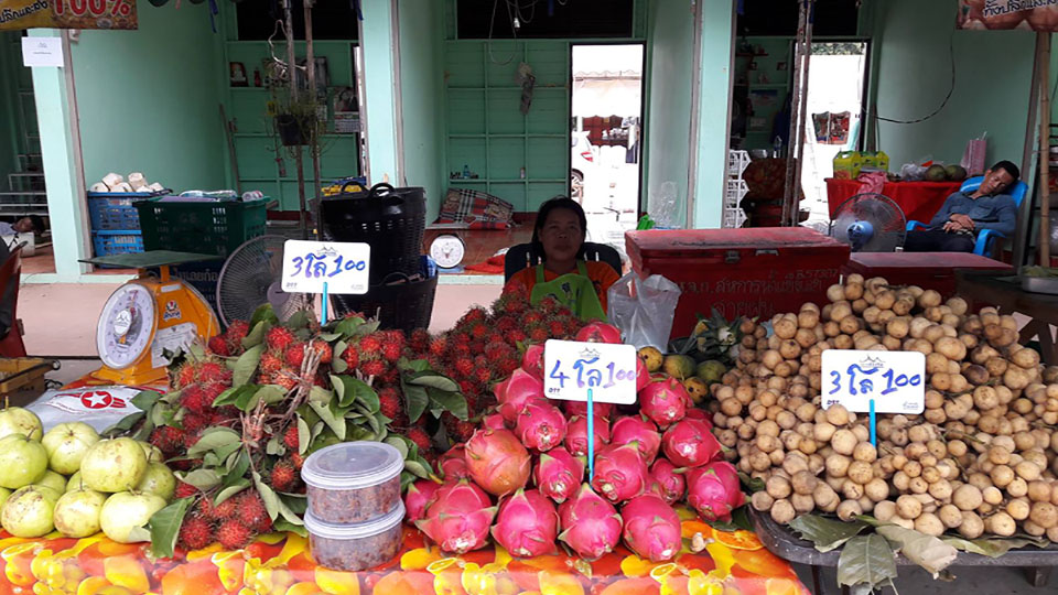 46748_ร้านขายผลไม้ 2.jpg