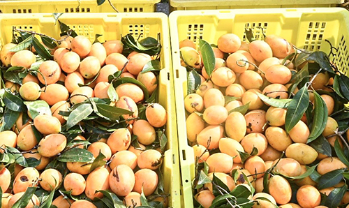 คาราวานพาณิชย์...ลดราคา! ช่วยประชาชน