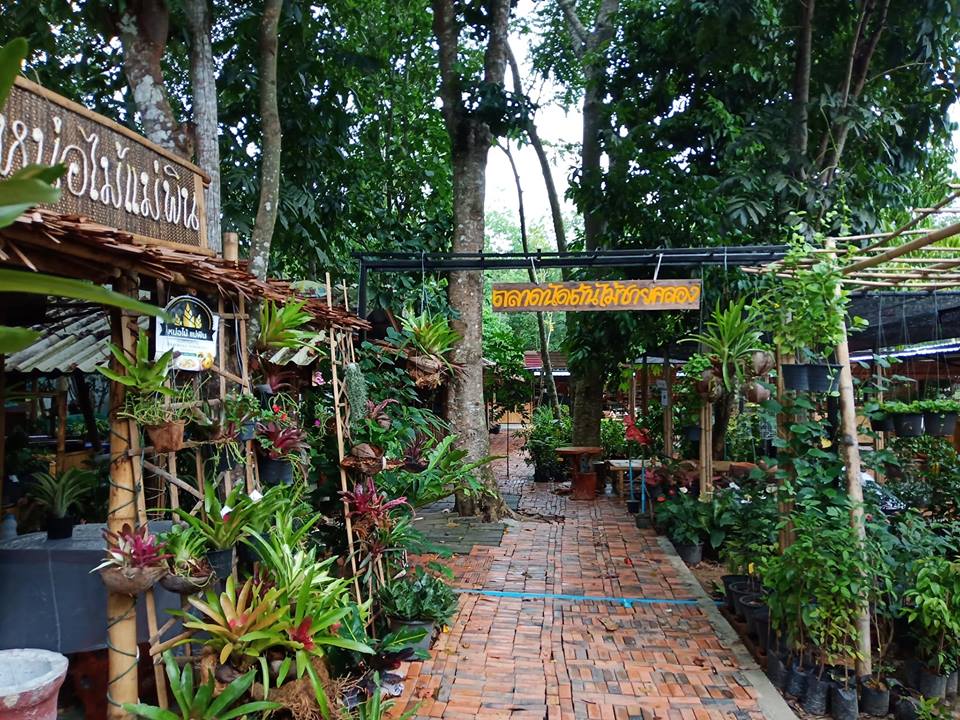 78064_บริเวณตลาด.jpg