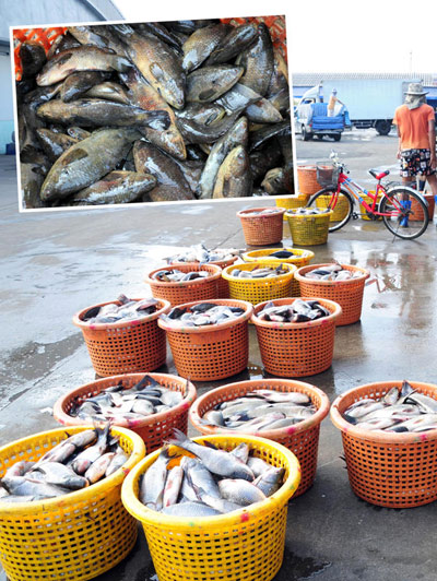 21553_สภาพตลาดทั่วไป 2.jpg