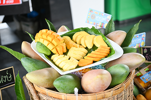 พาณิชย์จับมือปั้มพีที แจกมะม่วงแฟนซี เป็นของสมนาคุณผู้เติมน้ำมัน
