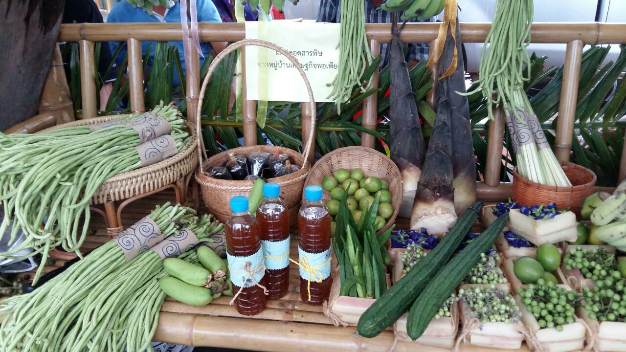 22466_สินค้าอินทรีย์.jpg