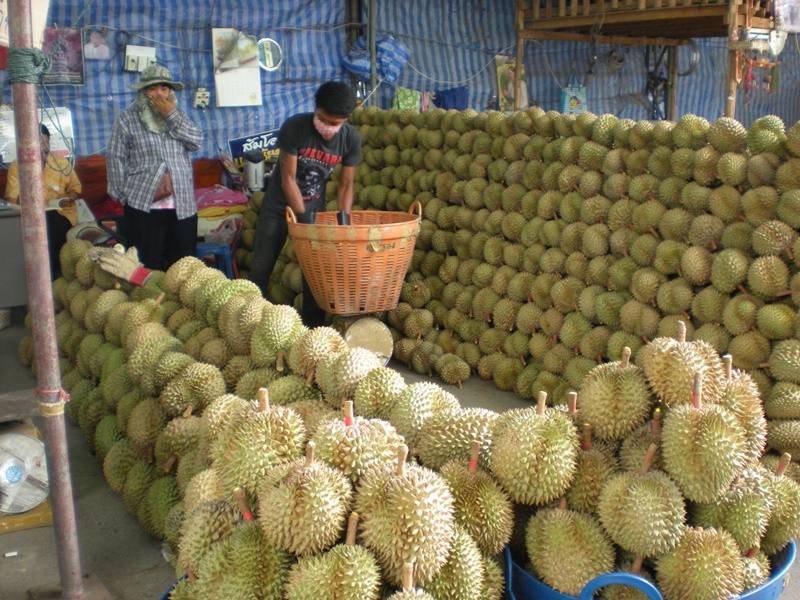 22124_ทุเรียน.JPG