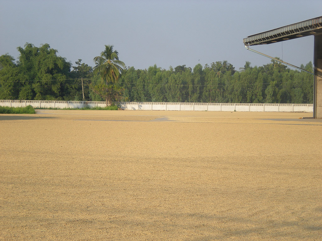 22196_ลานตาก.jpg