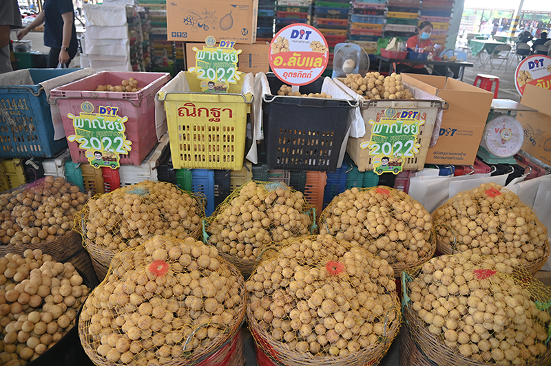 กรมการค้าภายในเดินหน้าอมก๋อยโมเดล @อุตรดิตถ์ เชื่อมโยงการรับซื้อลองกองกว่า 7,500 ตัน