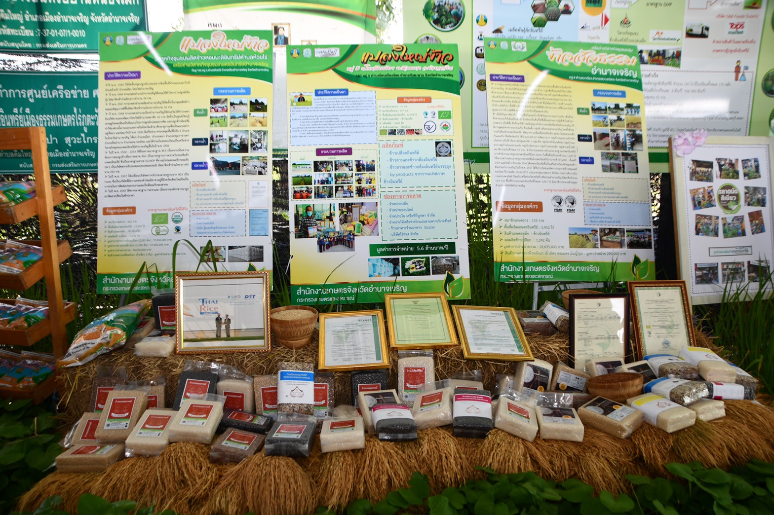 อธิบดีร่วมติดตามความคืบหน้าโครงการประกันรายได้ พร้อมพบปะกลุ่มองค์กรเกษตรผู้ผลิตสินค้าเกษตรอินทรีย์