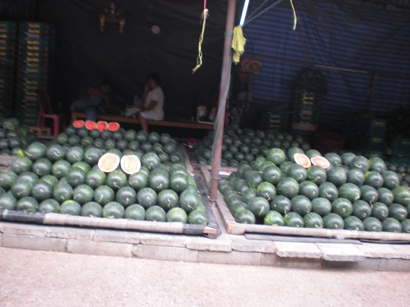 22125_แตงดม.JPG