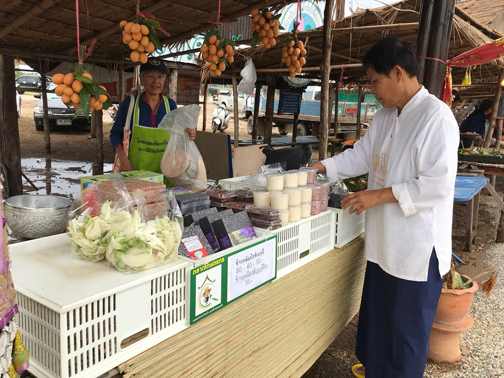 67516_แผงค้าอาหาร.jpg