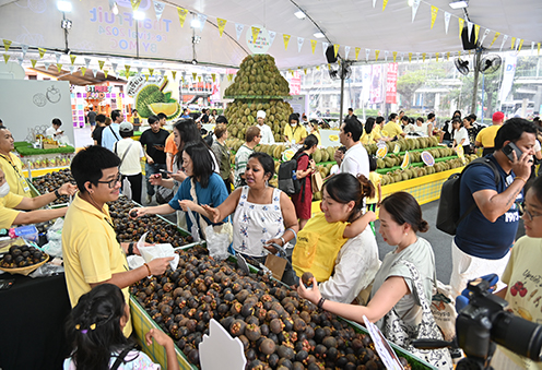 “พาณิชย์” จัดอีก! Thai Fruit Festival 2024 by MOC พร้อมโซนใหม่ “มุมเกษตรปลอดภัย” @ลานหน้า Central World