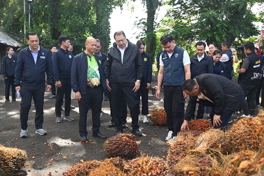 พาณิชย์ ลงพื้นติดตามสถานการณ์ด้านราคาและปริมาณผลปาล์มน้ำมันและน้ำมันปาล์มในพื้นที่ภาคใต้