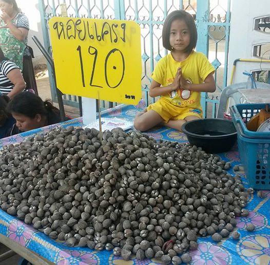 690_สินค้าที่จำหน่ายในตลาด 3.jpg