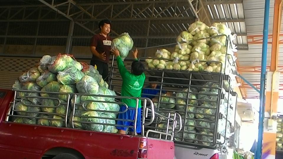 21932_รถขนส่งสินค้า.jpg
