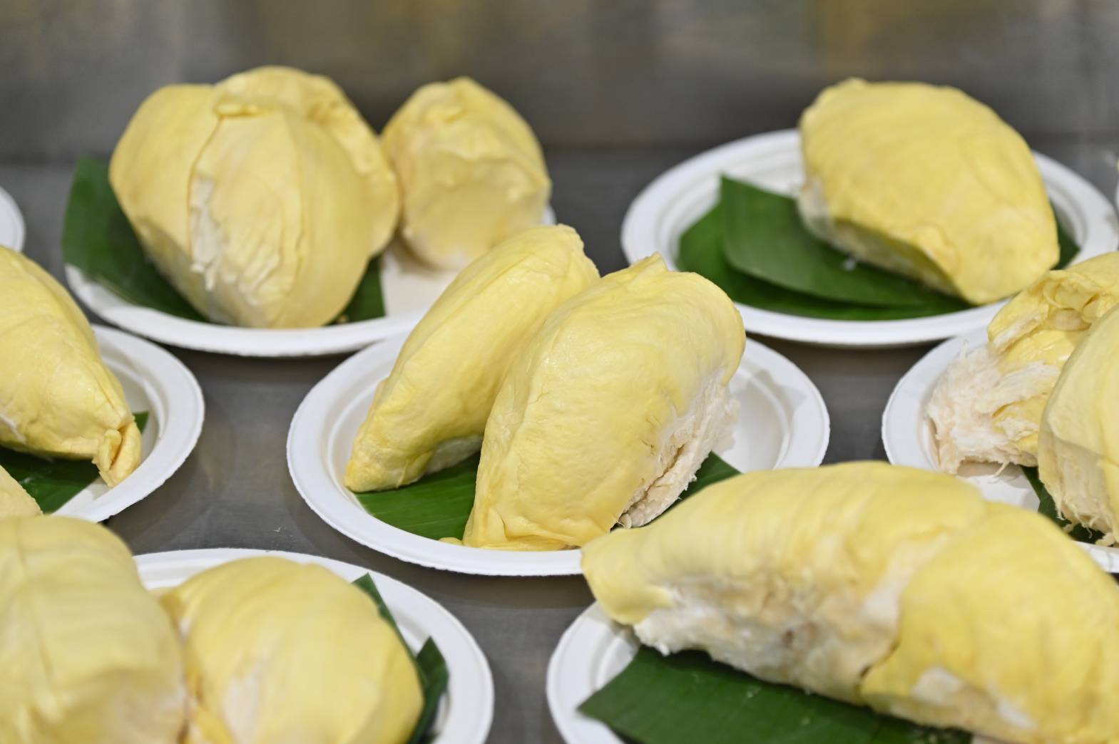 DIT เปิดเทศกาล “Thailand - The Land of Tropical Fruits”