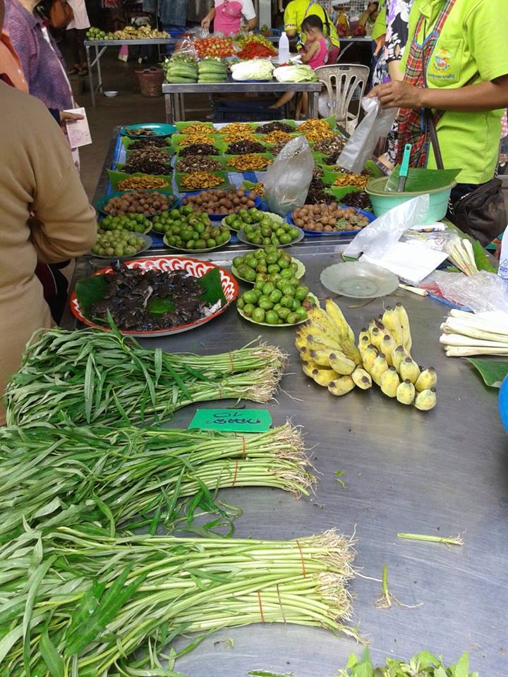 23620_แผงค้า ผัก.jpg