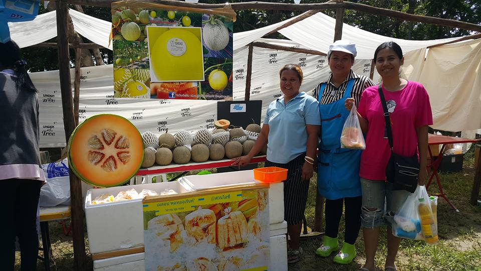 21608_สินค้า ผลไม้.jpg