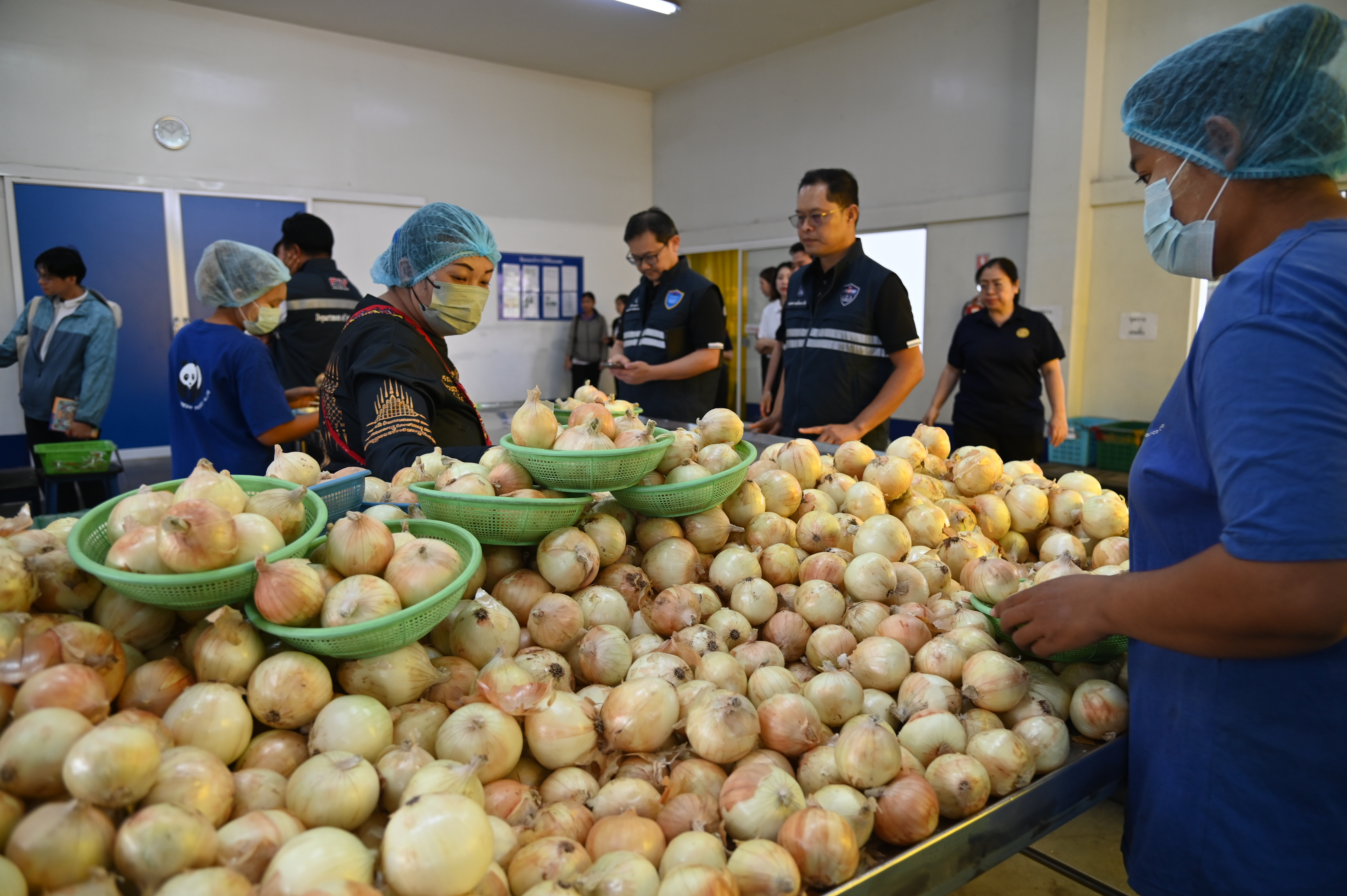 'พาณิชย์' ลุยพยุงราคาหอมหัวใหญ่เชียงใหม่ กรมการค้าภายใน อัดมาตรการกระจาย คุมเข้มนำเข้า ดูแลตลาดช่วงพี่ค