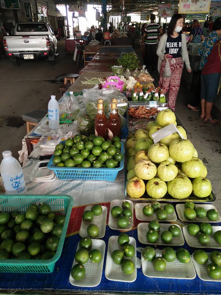 22343_มะนาว.jpg