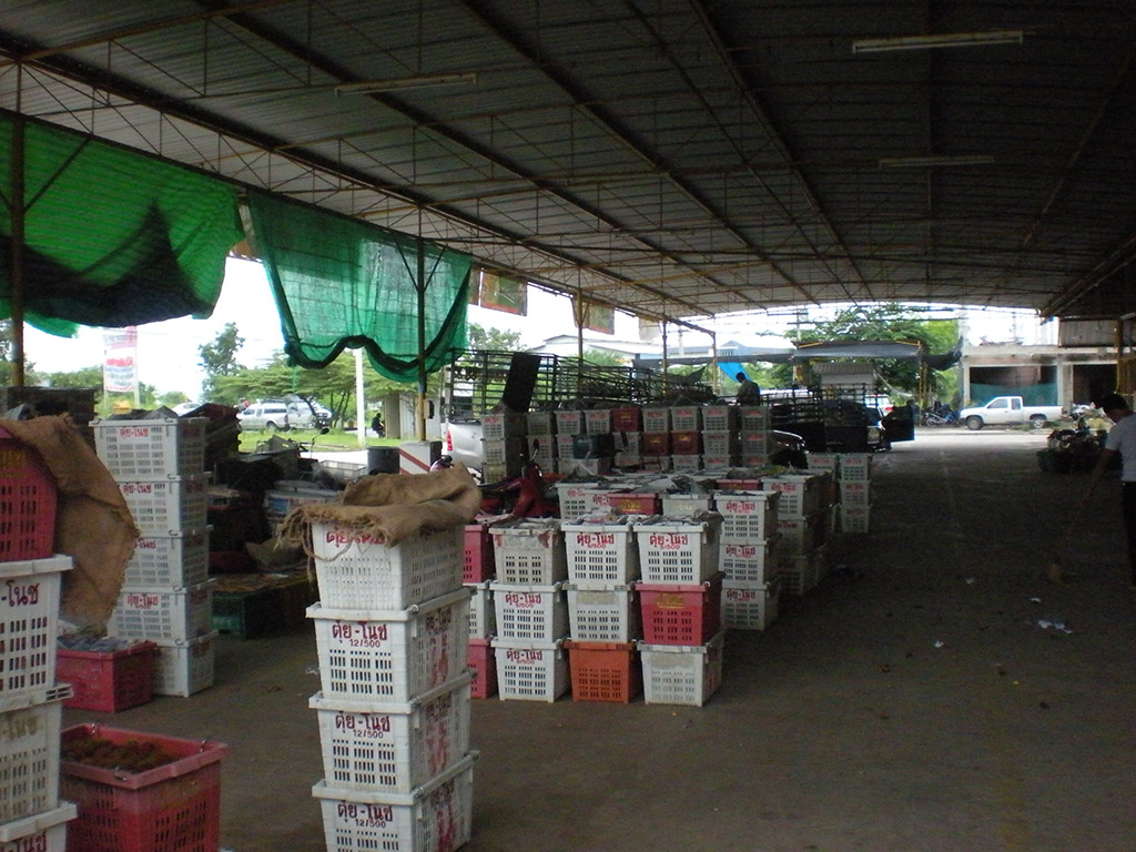 22188_ลงบรรจุสินค้า.JPG