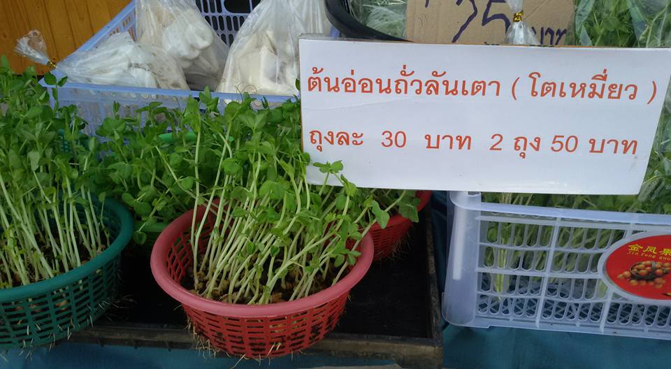 22676_จำหน่ายสินค้าเกษตรจากชุมชน.jpg