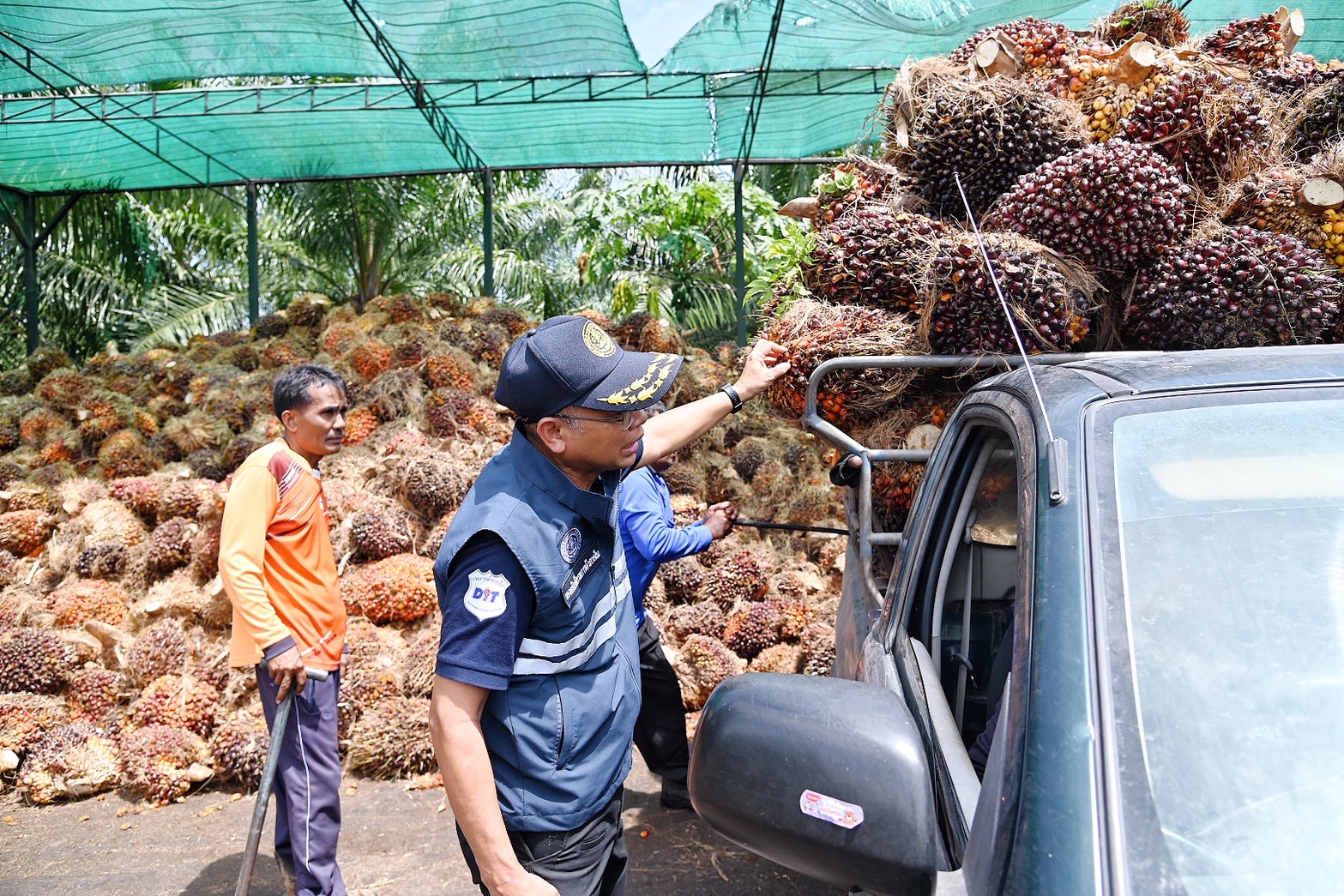 ลงพื้นที่ตรวจสอบกำกับดูแลการรับซื้อสินค้าเกษตรและตรวจสอบการปฏิบัติตามกฏหมายของผู้ประกอบการปาล์มน้ำมันและมังคุด