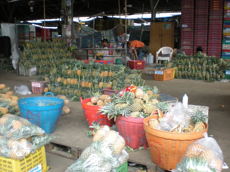 22120_ผลไม้ สับปะรด.JPG