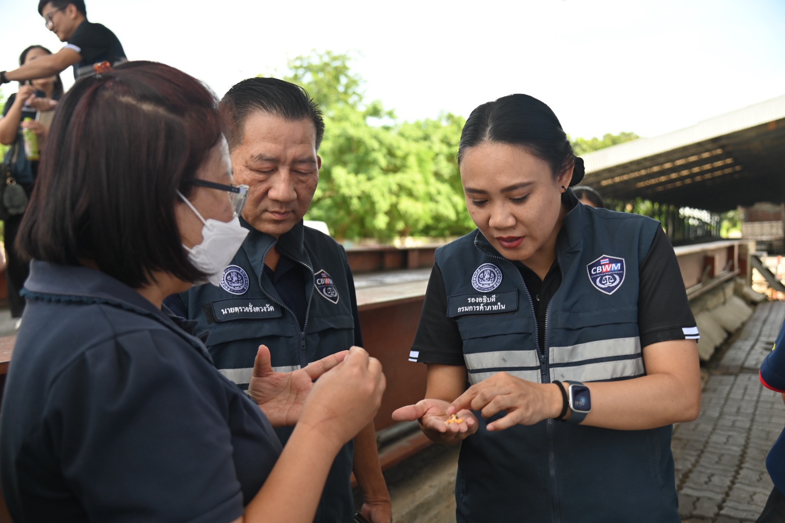 DIT ติดตามสถานการณ์การรับซื้อ ข้าวโพดเลี้ยงสัตว์