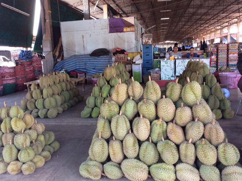22000_แผงมุเรียน.jpg