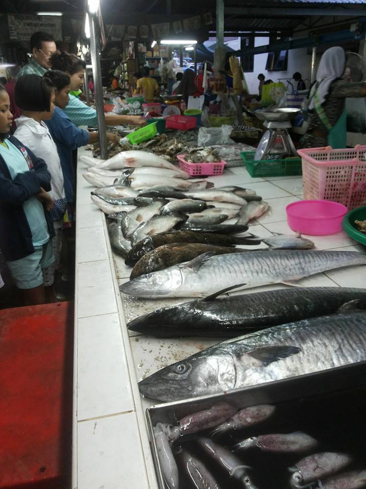 44366_แผงค้า ปลา.jpg