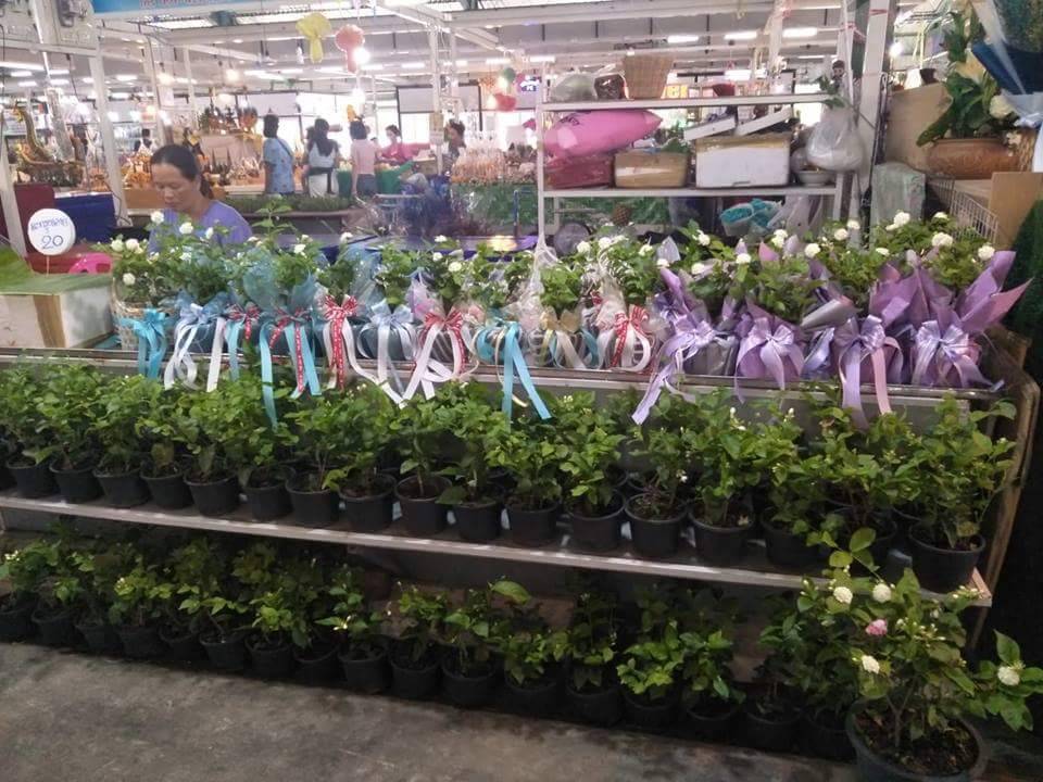 78131_แผงค้าไม้ดอก.jpg