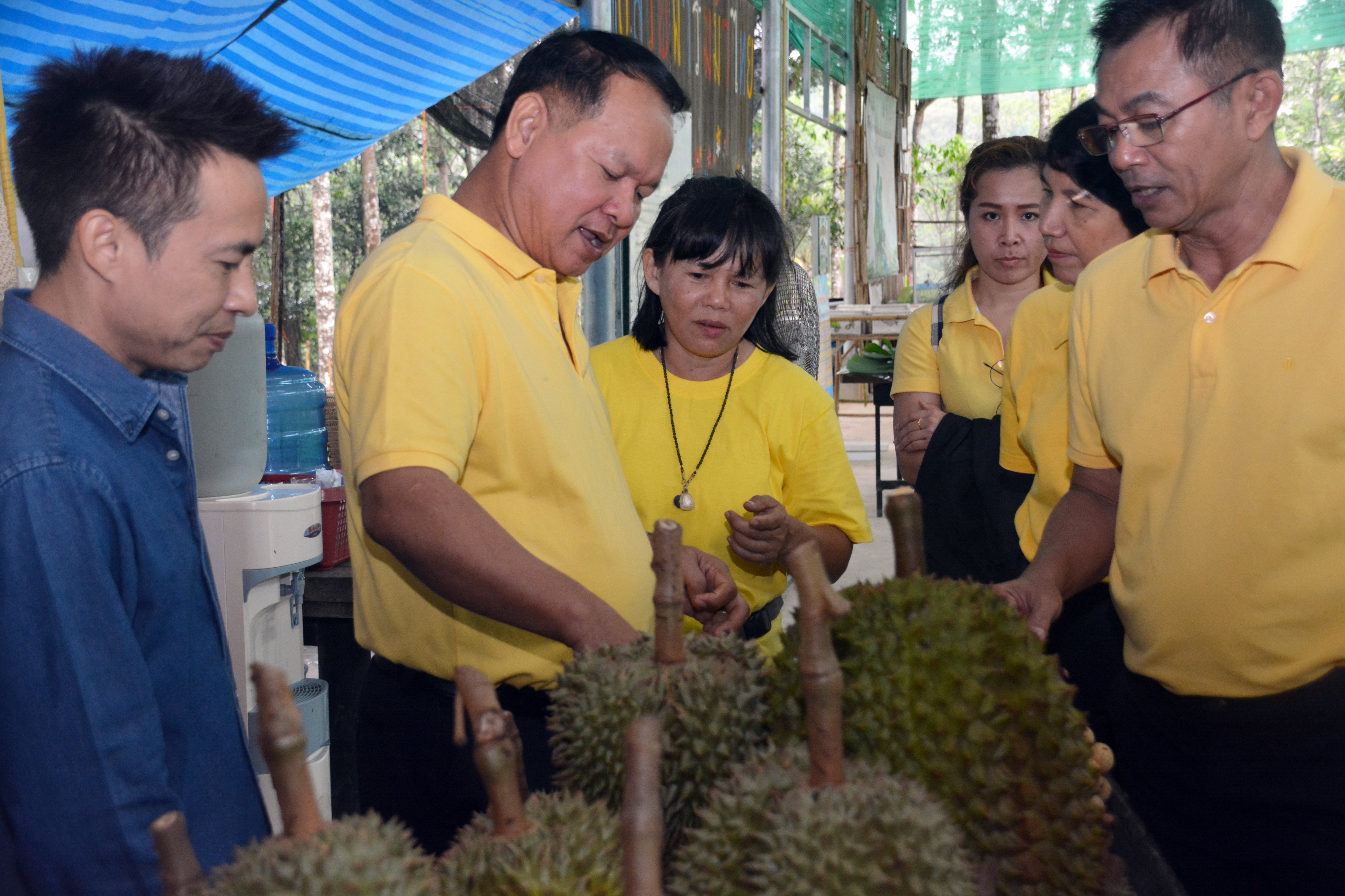 อธิบดีกรมการค้าภายใน ลงพื้นที่ติดตามสถานการณ์การจำหน่ายผลไม้