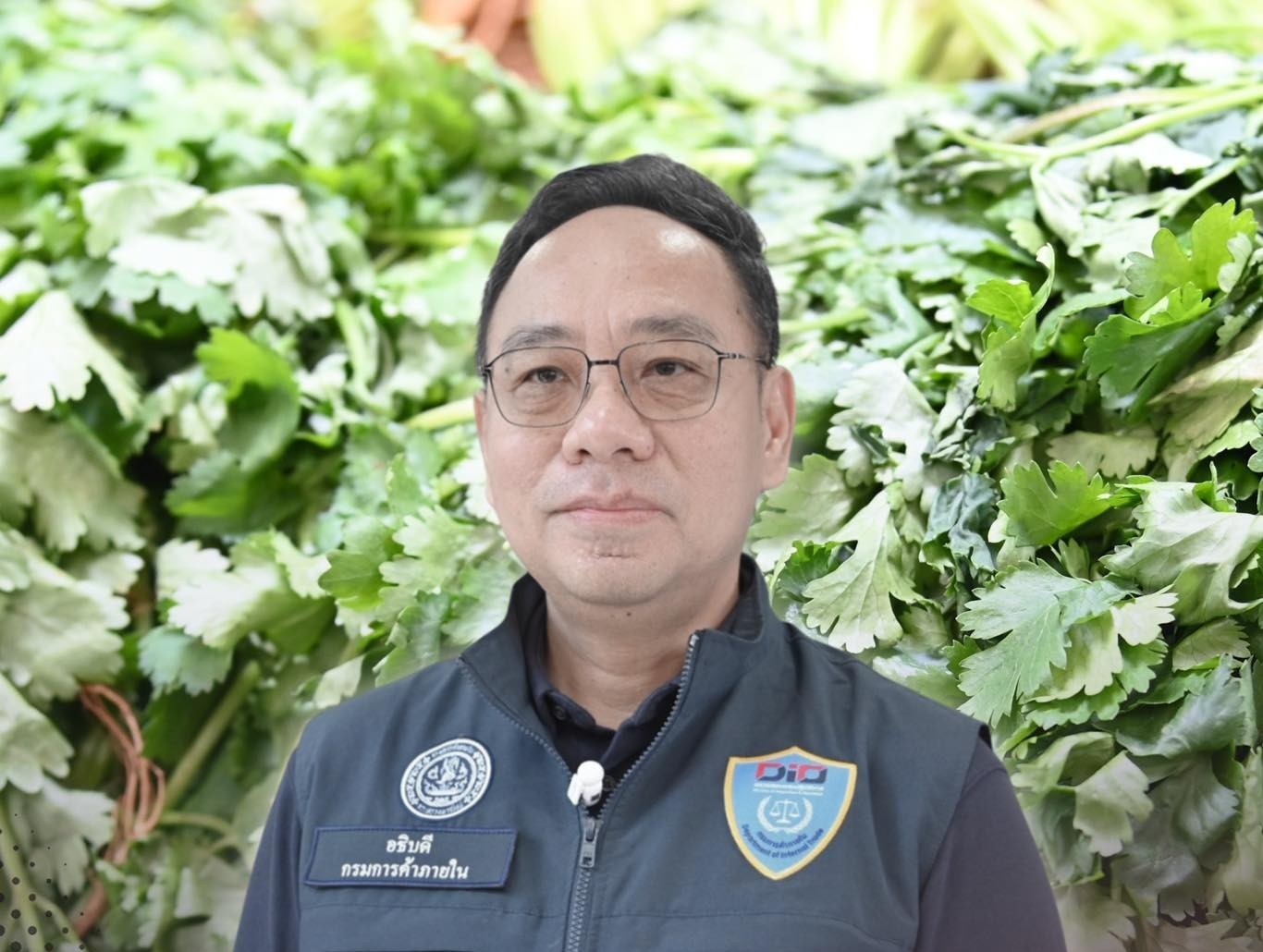 ข่าวเลขที่ 32/2569 DIT ลุยตรึงราคาผักชีปลายฝน! เร่งกระจายผลผลิตจากแหล่งอื่นเข้าทดแทน คาดราคาลดลงสัปดาห์หน้า (12 พฤศจิกายน 2568)