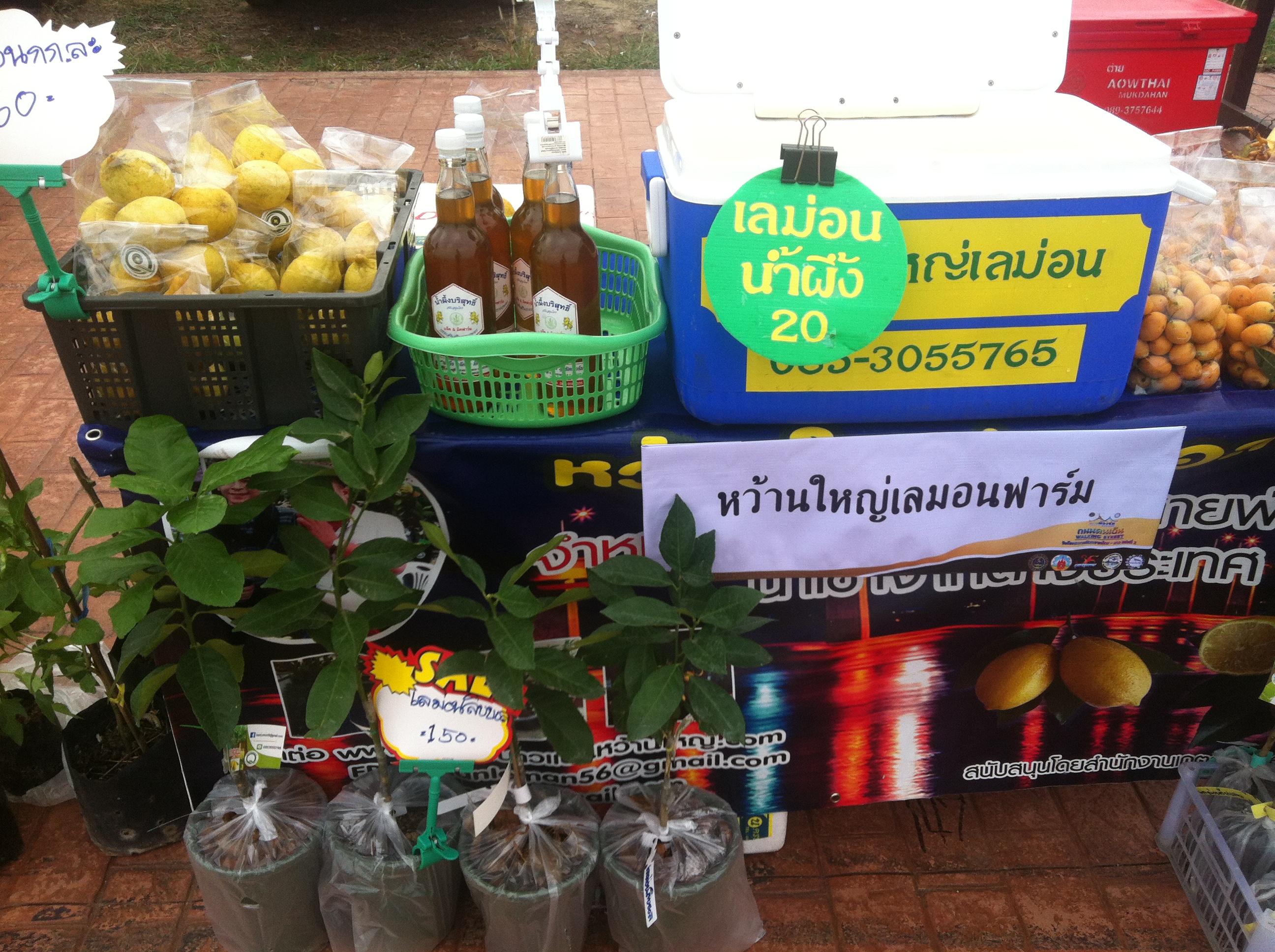 57408_เครื่องดื่ม.JPG