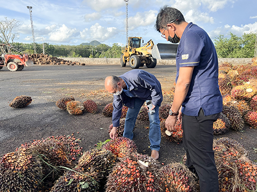 กรมการค้าภายในติดตามการดำเนินการตามมติคณะอนุกรรมการบริหารจัดการสมดุลน้ำมันปาล์ม