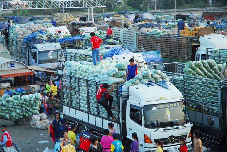 45031_รถบรรทุกส่งผัก.jpg