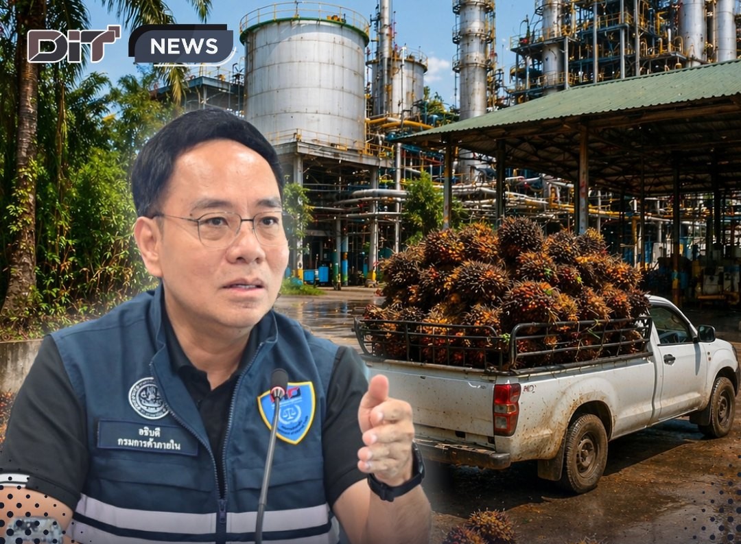 ข่าวเลขที่ 114/2569 “ค้าภายใน” สั่งคุมเข้มรับซื้อปาล์มหลังสงกรานต์ ลุยเช็กลานเท–โรงงานทันที กันกดราคา ,เพิ่มสัดส่วนพลังงานหนุนราคาขยับ (16 เมษายน 2569)