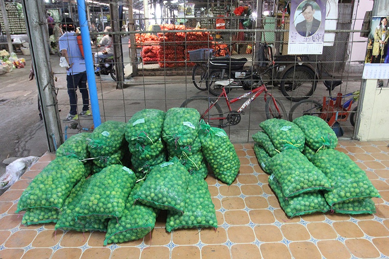 21958_มะนาว.JPG