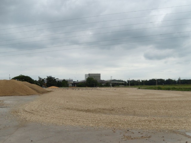 25_ลานตาก.jpg