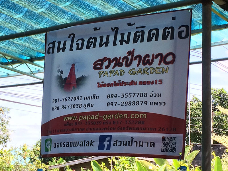 46541_สวน.jpg