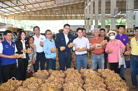 พาณิชย์ ลงพื้นที่ตรวจติดตามสถานการณ์ผลผลิตลองกอง