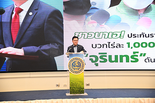 โครงการประกันรายได้เกษตรกรผู้ปลูกข้าว ปี 4