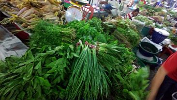 10873_สินค้าที่จำหน่าย 4.jpg